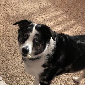 Meet your Posher, Becky